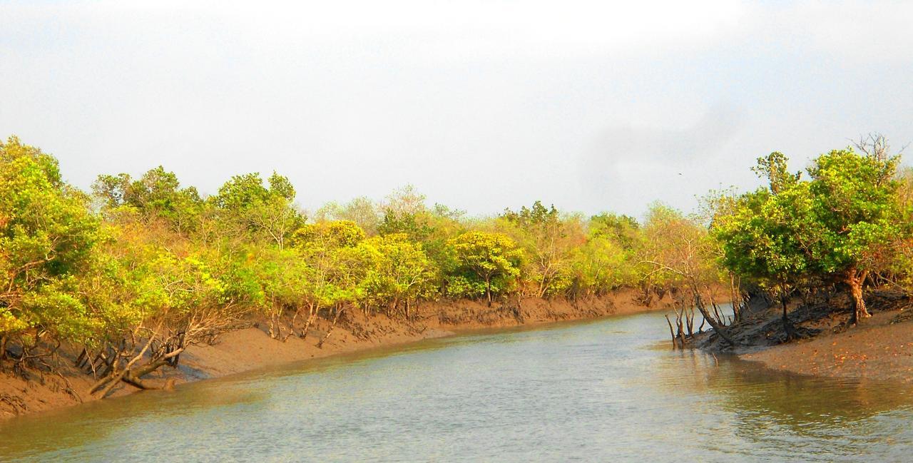 Prakrity Village Resort Sundarbans Gosaha エクステリア 写真